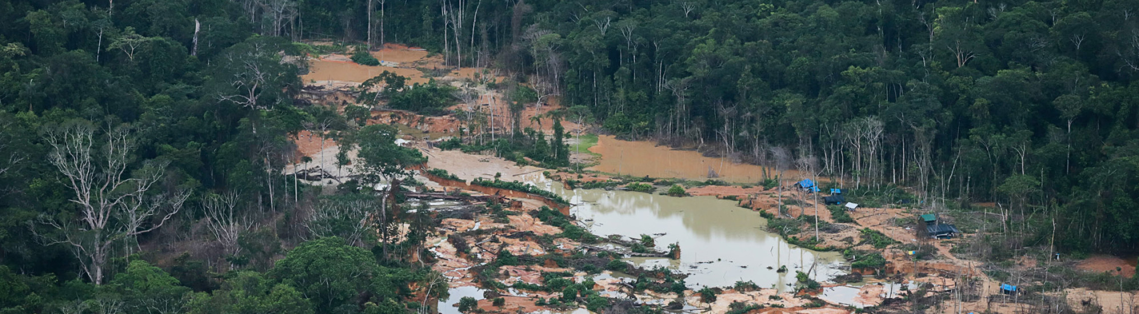 Terra Indígena Yanomami governo tem 30 dias para apresentar cronograma