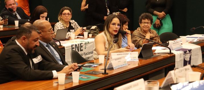Pessoas sentadas e uma falando na mesa do plenário