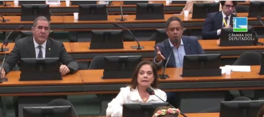 Votação na CCJC tem caráter terminativo